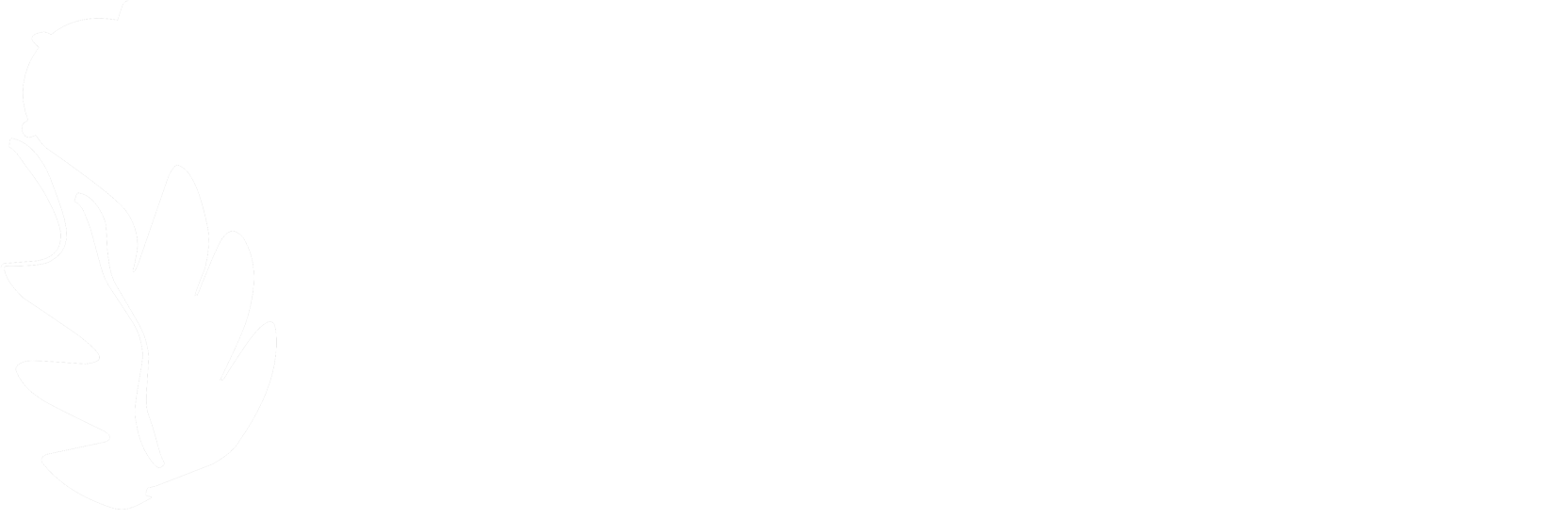睿途旅游-新西兰深度游专家