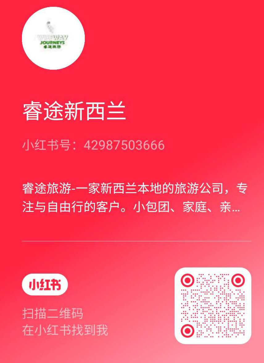小红书二维码